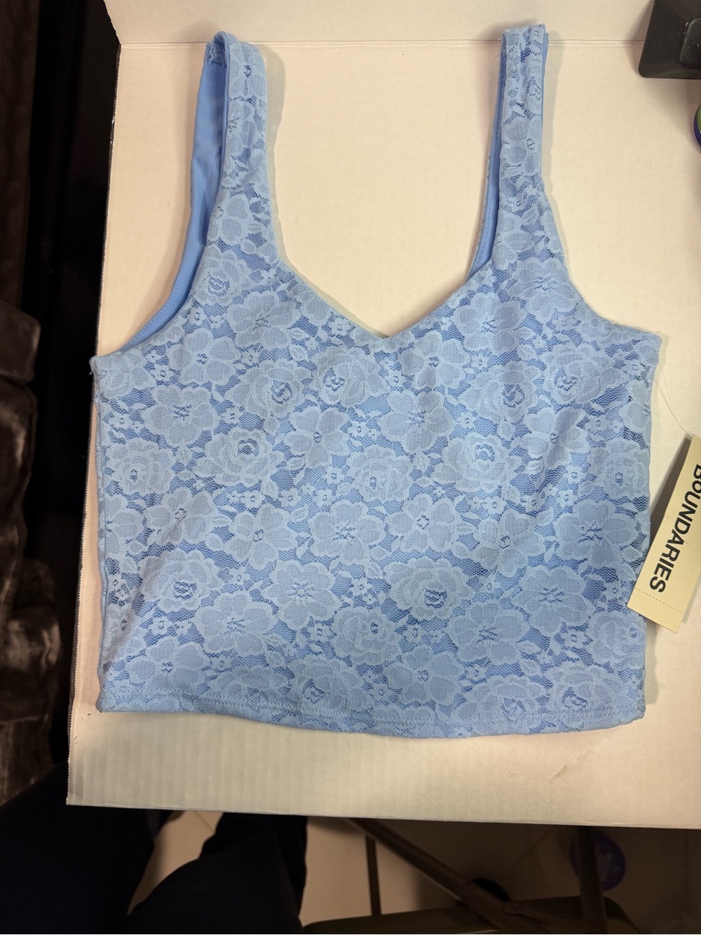 🔥Sale🔥No Boundaries Light Blue Lace Crop Top